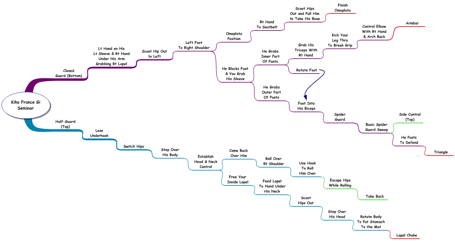 Bjj Lineage Chart